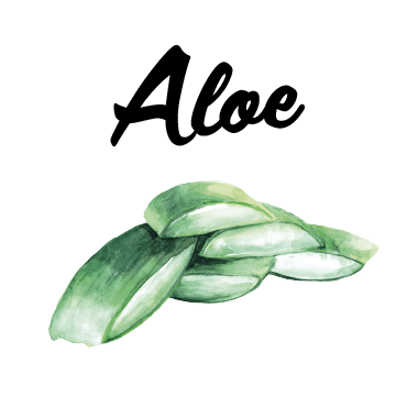 Aloe Vera